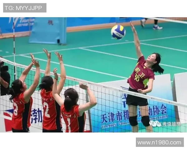 深度对话：刘娜如何在排球道路上追逐梦想与挑战人生